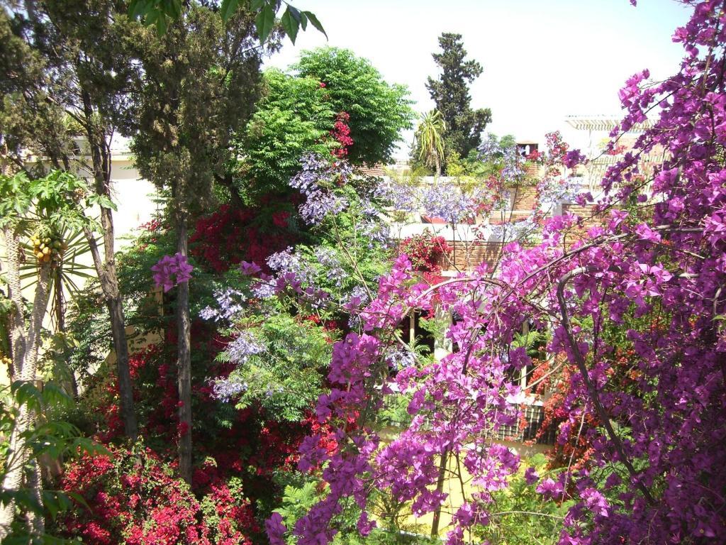 Riad Malika Μαρακές Εξωτερικό φωτογραφία